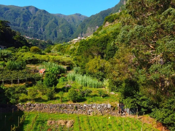 Terreno para Venda em São Vicente Foto 16