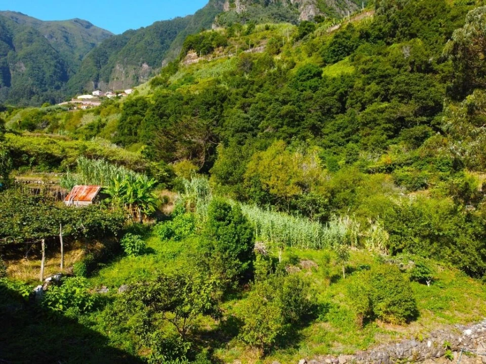 Terreno para Venda em São Vicente Foto 15