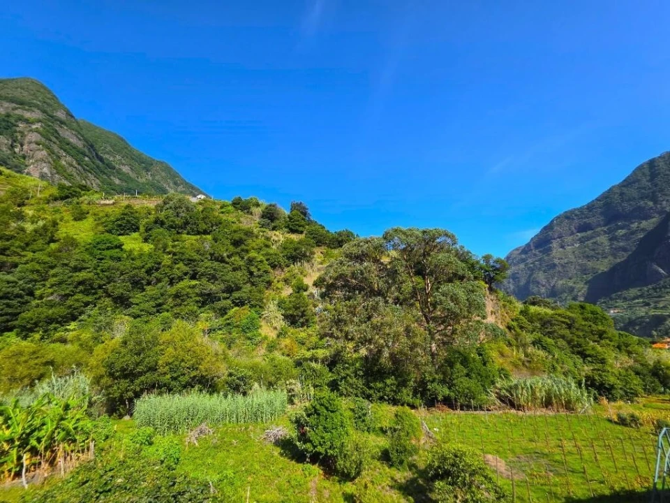 Terreno para Venda em São Vicente Foto 11