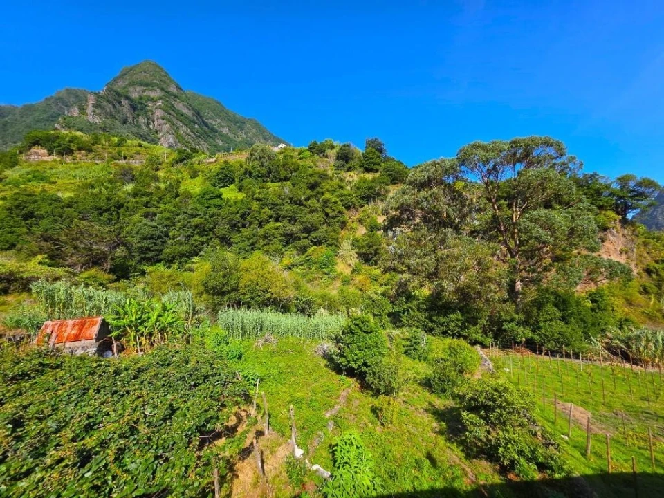 Terreno para Venda em São Vicente Foto 10