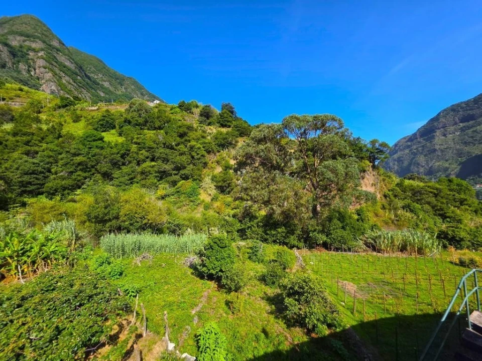Terreno para Venda em São Vicente Foto 7