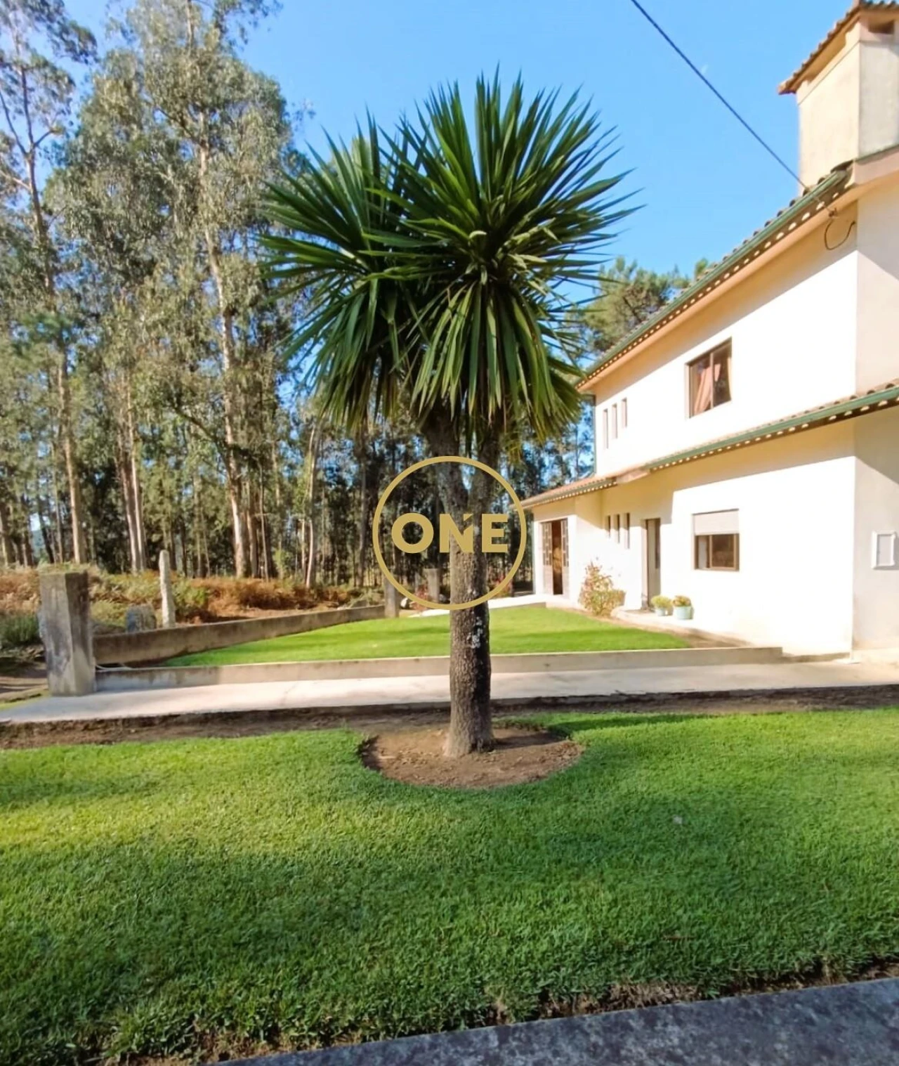 Moradia T3 para Venda em Carreira e Fonte Coberta Foto 2