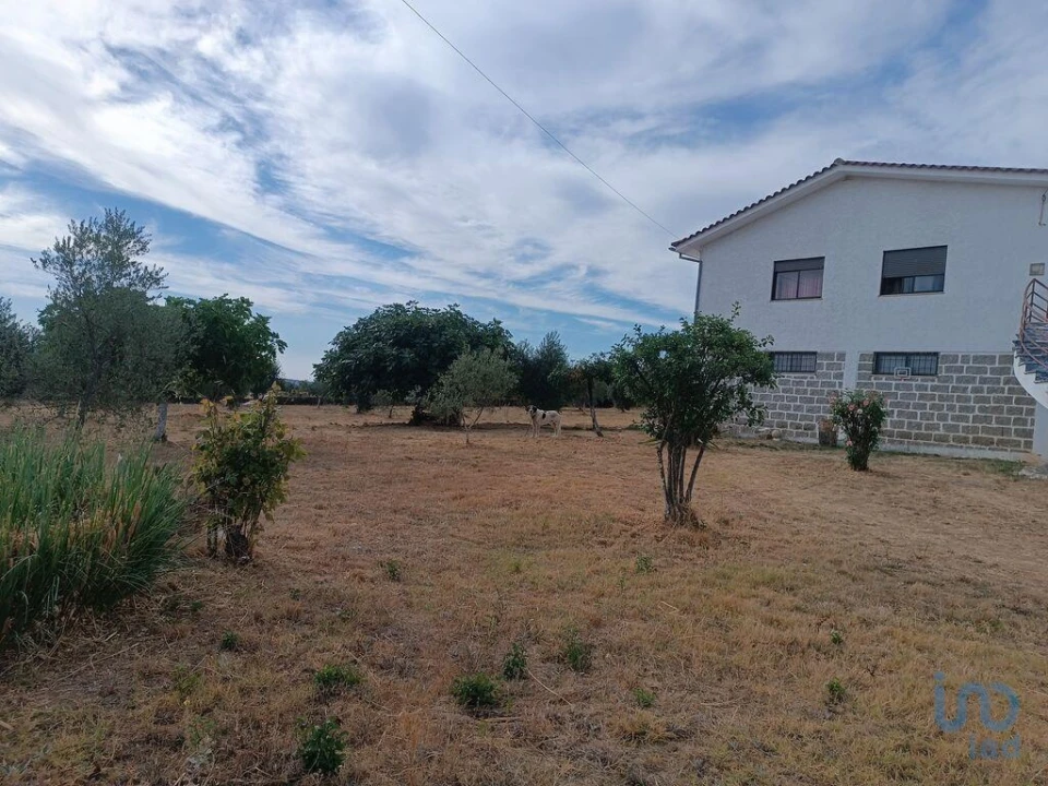 Moradia T4 para Venda em Vimioso Foto 5