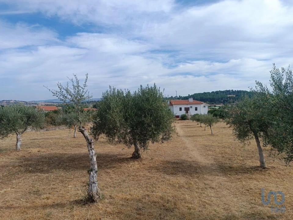 Moradia T4 para Venda em Vimioso Foto 8