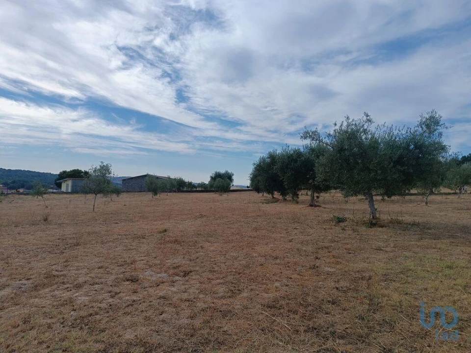 Moradia T4 para Venda em Vimioso Foto 12