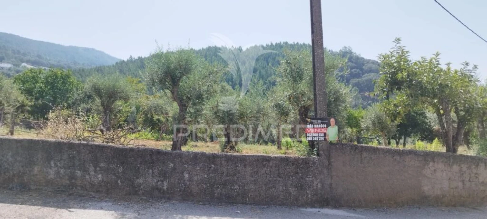 Quinta T2 para Venda em Sé e São Lourenço Foto 11
