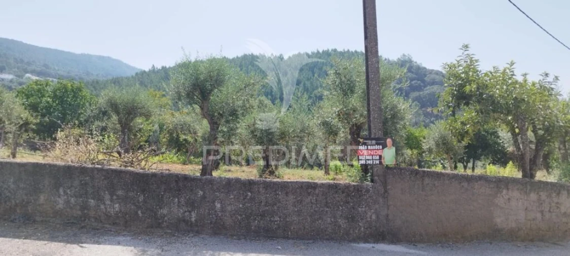 Quinta T2 para Venda em Sé e São Lourenço Foto 11