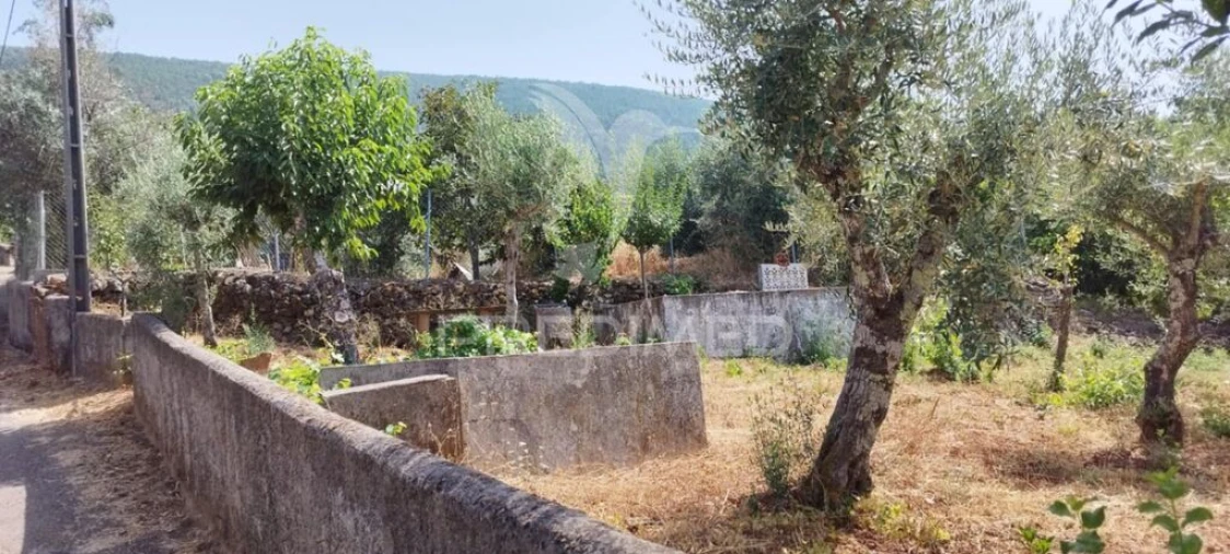 Quinta T2 para Venda em Sé e São Lourenço Foto 13