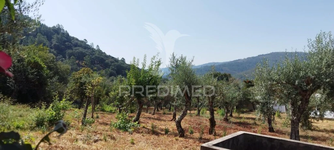 Quinta T2 para Venda em Sé e São Lourenço Foto 4