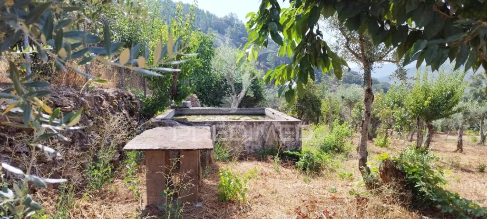 Quinta T2 para Venda em Sé e São Lourenço Foto 9