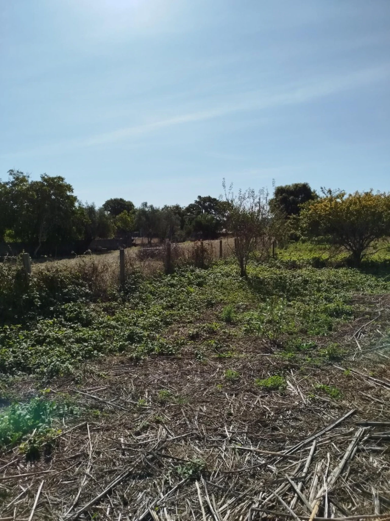 Terreno para Venda em Algueirão-Mem Martins Foto 1