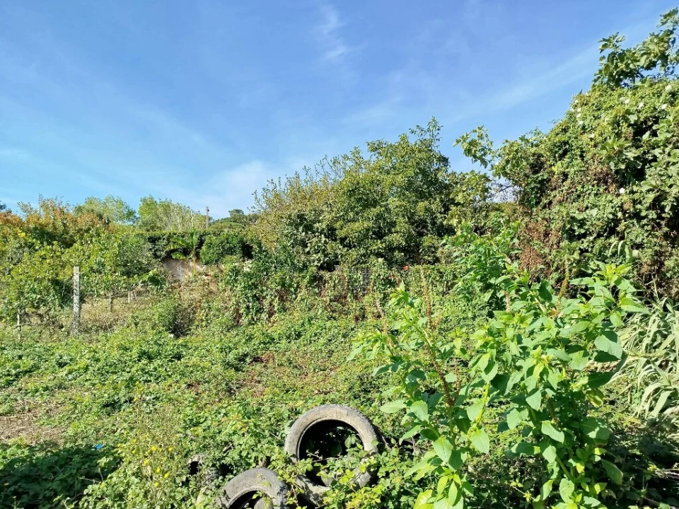 Terreno para Venda em Algueirão-Mem Martins Foto 2