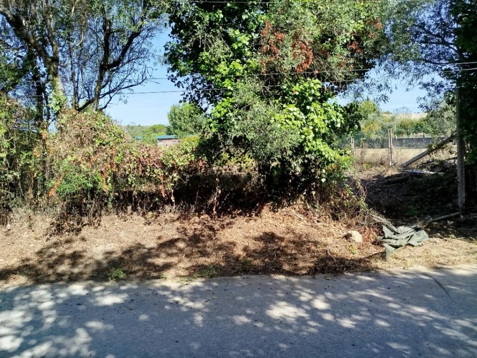 Terreno para Venda em Algueirão-Mem Martins Foto 6