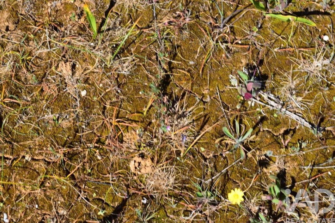 Terreno para Venda em Carnota Foto 17