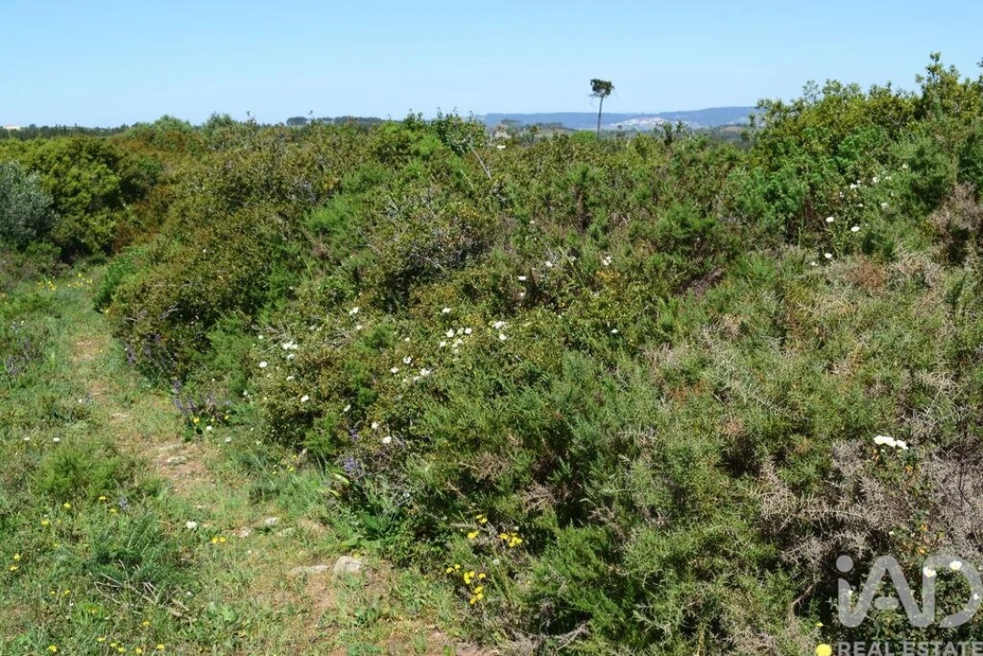 Terreno para Venda em Carnota Foto 18