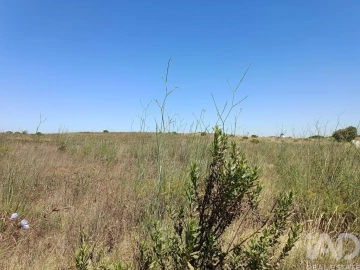 Terreno para Venda em Carnota