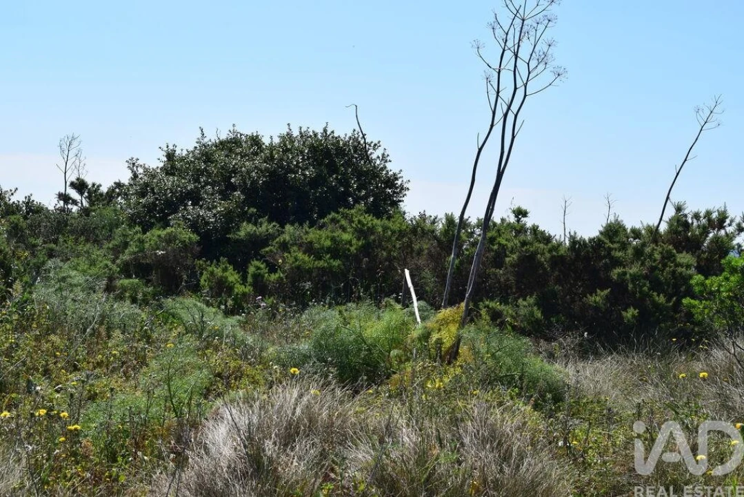 Terreno para Venda em Carnota Foto 15