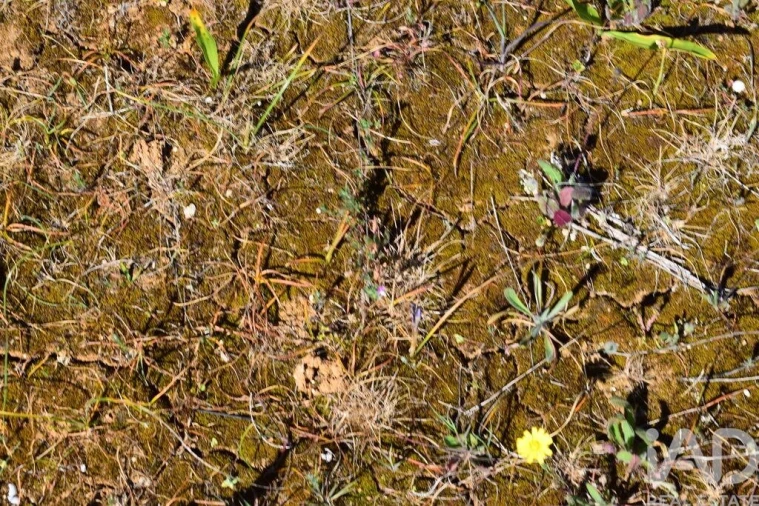 Terreno para Venda em Carnota Foto 17