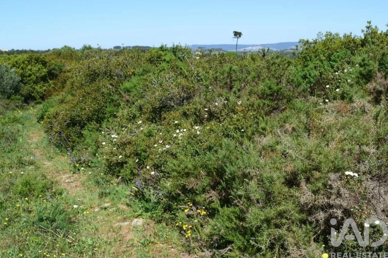Terreno para Venda em Carnota Foto 18
