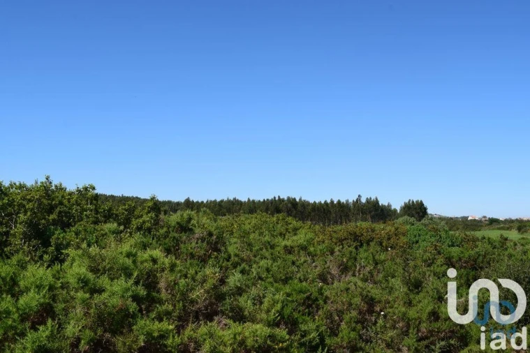 Terreno para Venda em Carnota Foto 11