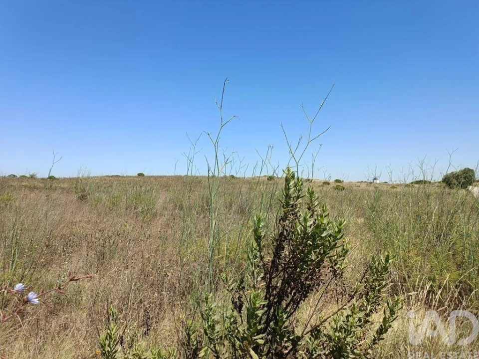 Terreno para Venda em Carnota Foto 6