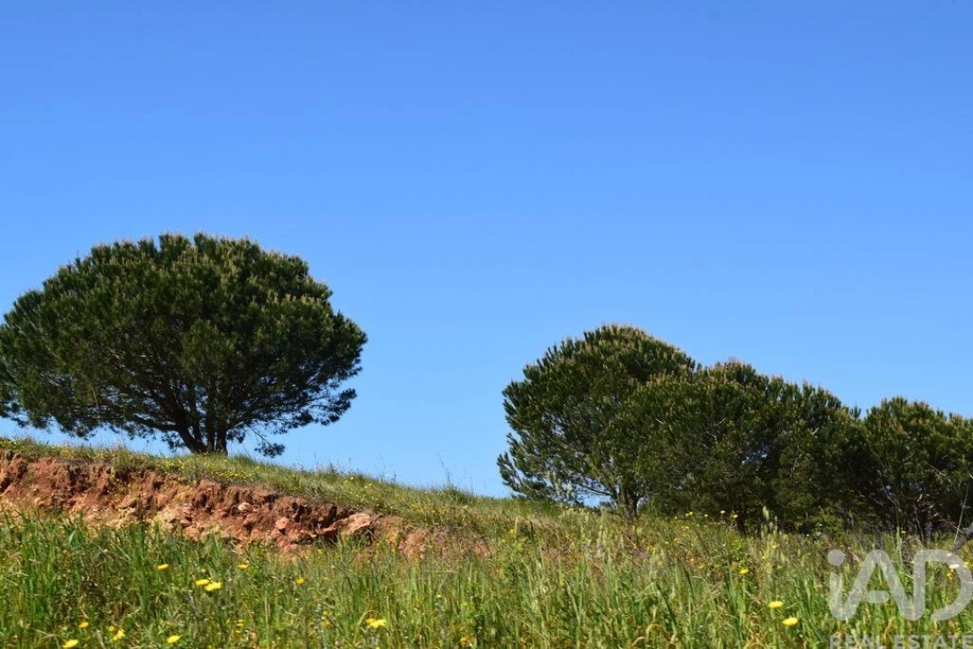 Terreno para Venda em Carnota Foto 33