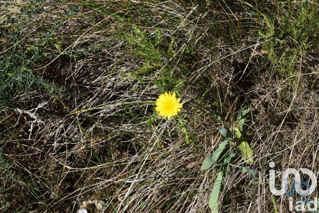 Terreno para Venda em Carnota Foto 12
