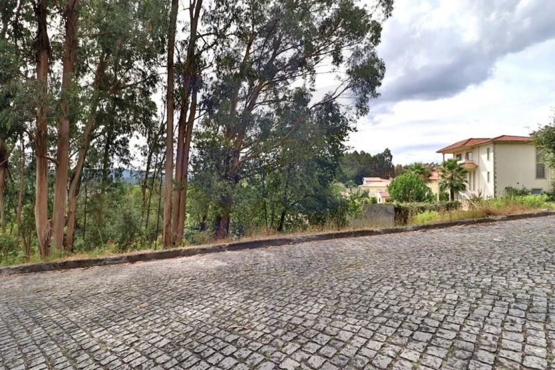 Terreno para Venda em Tadim Foto 18