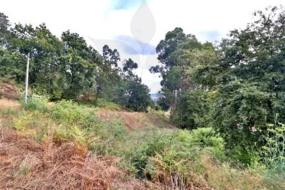 Terreno para Venda em Tadim