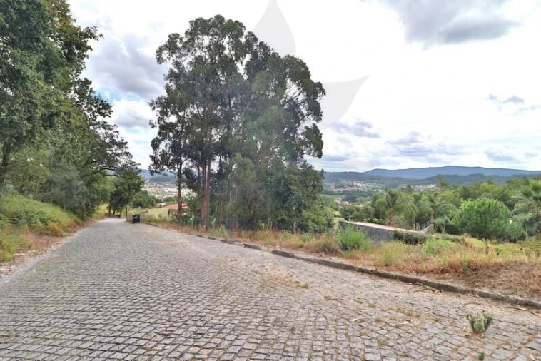 Terreno para Venda em Tadim Foto 16