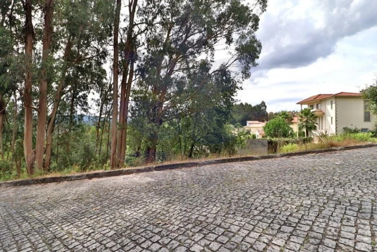 Terreno para Venda em Tadim Foto 18