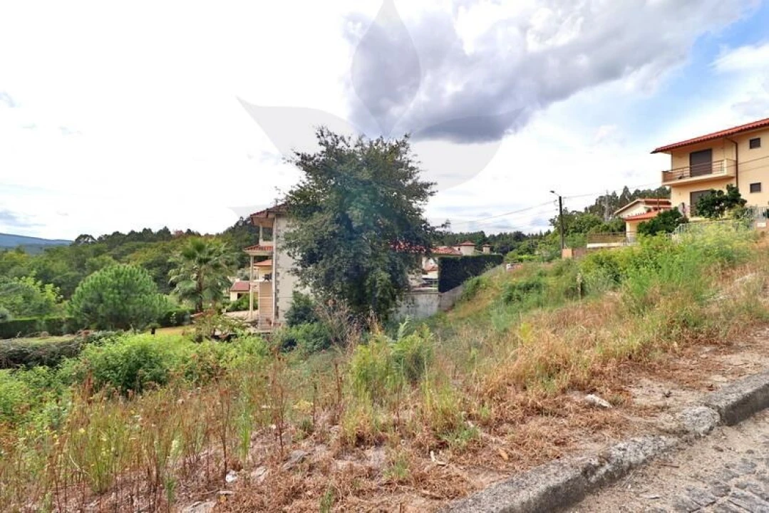 Terreno para Venda em Tadim Foto 20