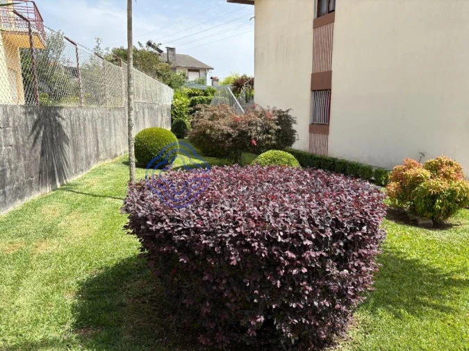 Moradia T4 para Venda em Sanguedo Foto 3