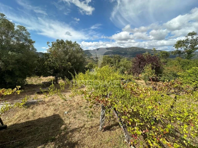 Terreno para Venda em Arca e Ponte de Lima Foto 1