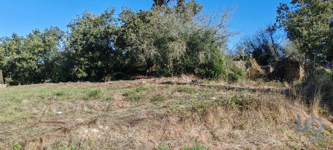 Terreno para Venda em Ansião Foto 13