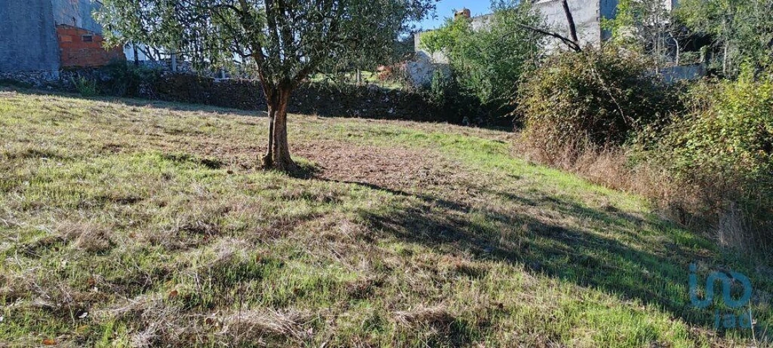 Terreno para Venda em Ansião Foto 6