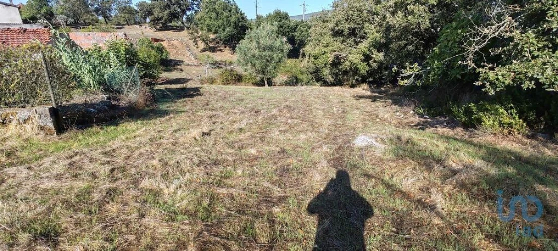 Terreno para Venda em Ansião Foto 9
