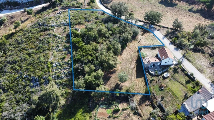 Terreno para Venda em Ansião Foto 3