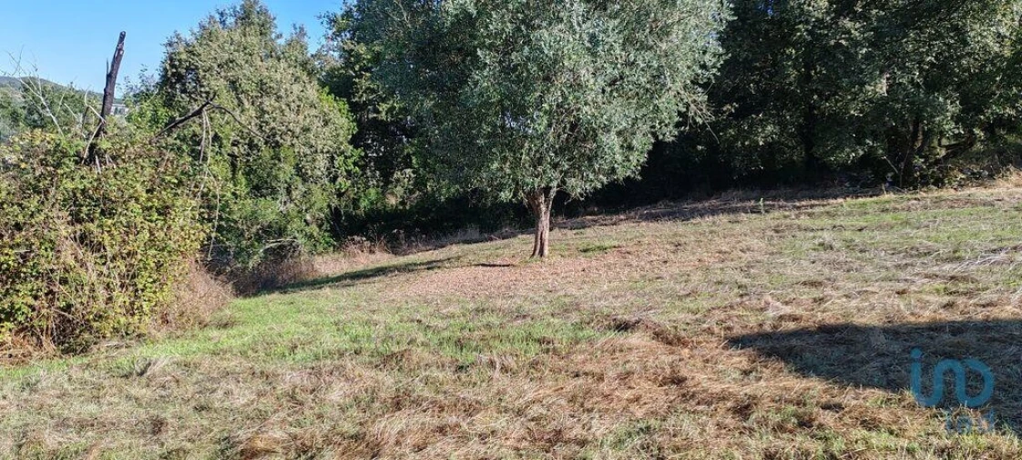Terreno para Venda em Ansião Foto 5