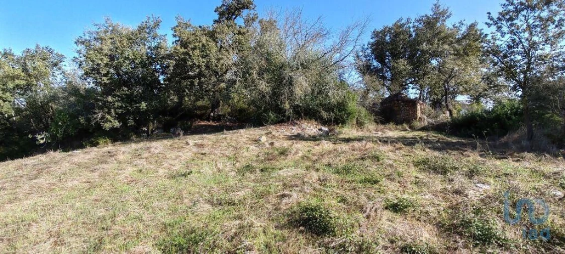 Terreno para Venda em Ansião Foto 10