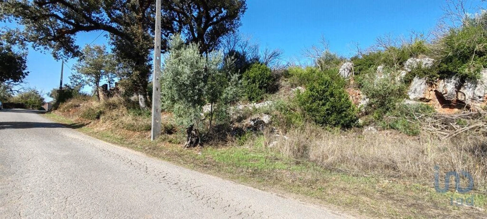 Terreno para Venda em Ansião Foto 14