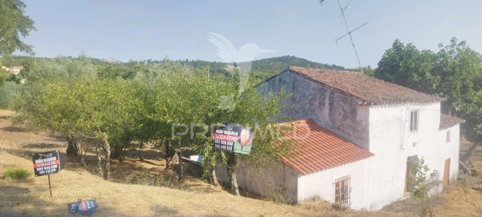Quinta T3 para Venda em Santa Maria de Marvão Foto 14
