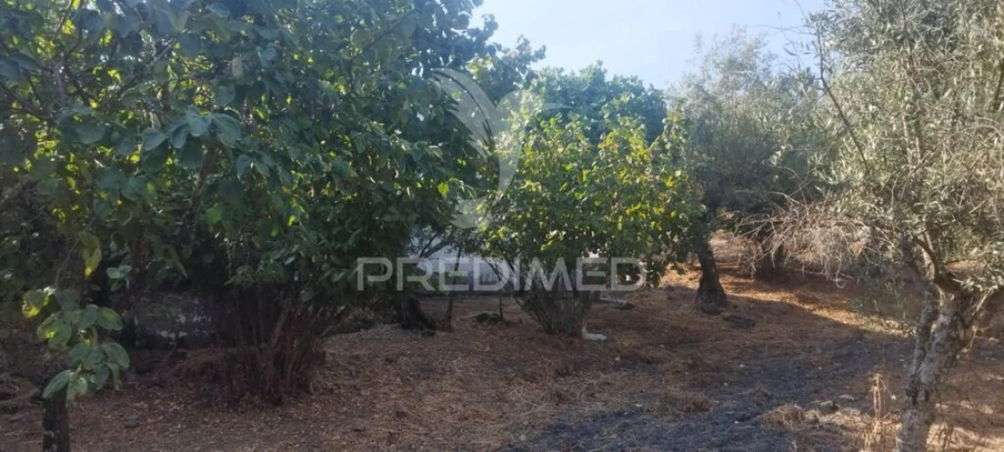 Quinta T3 para Venda em Santa Maria de Marvão Foto 7