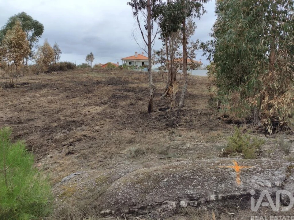 Terreno para Venda em Vila Boa de Quires e Maureles Foto 16