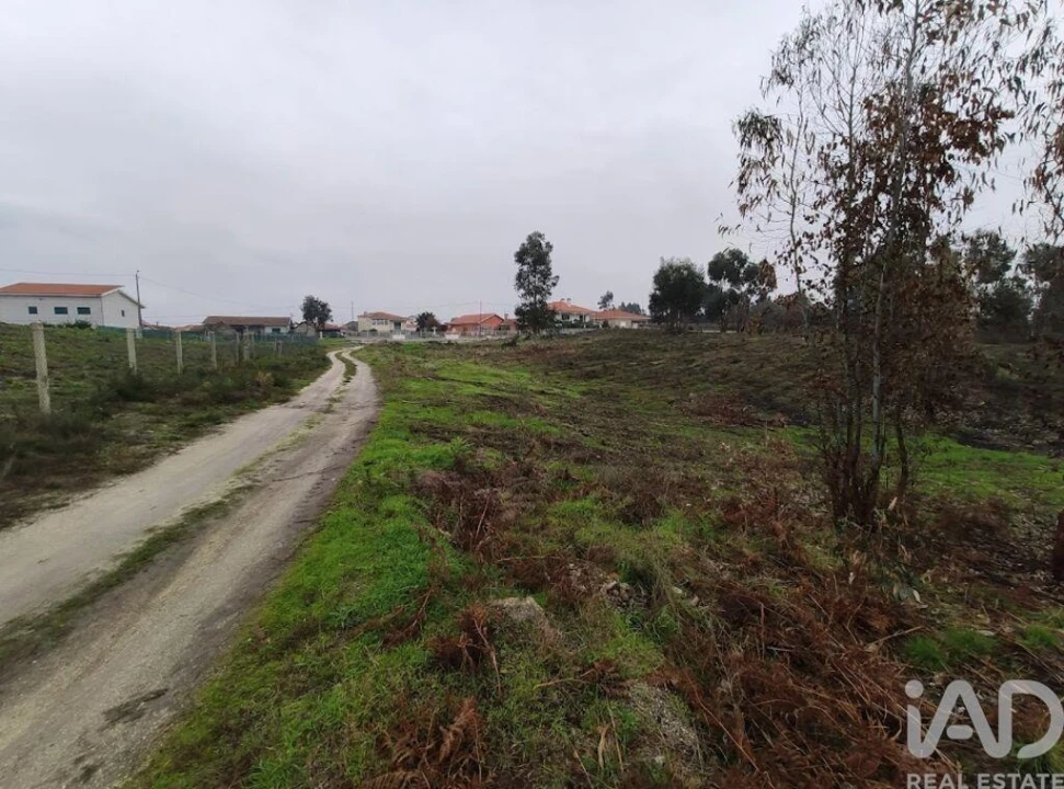 Terreno para Venda em Vila Boa de Quires e Maureles Foto 17