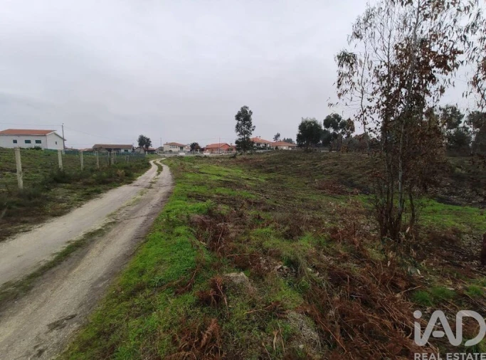 Terreno para Venda em Vila Boa de Quires e Maureles Foto 17