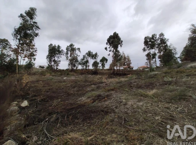 Terreno para Venda em Vila Boa de Quires e Maureles Foto 15