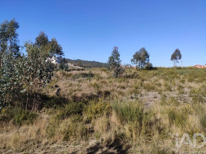 Terreno para Venda em Vila Boa de Quires e Maureles Foto 18