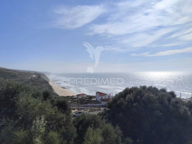 Apartamento T1 para Venda em Santa Maria e São Miguel, São Martinho, São Pedro Penaferrim Foto 8