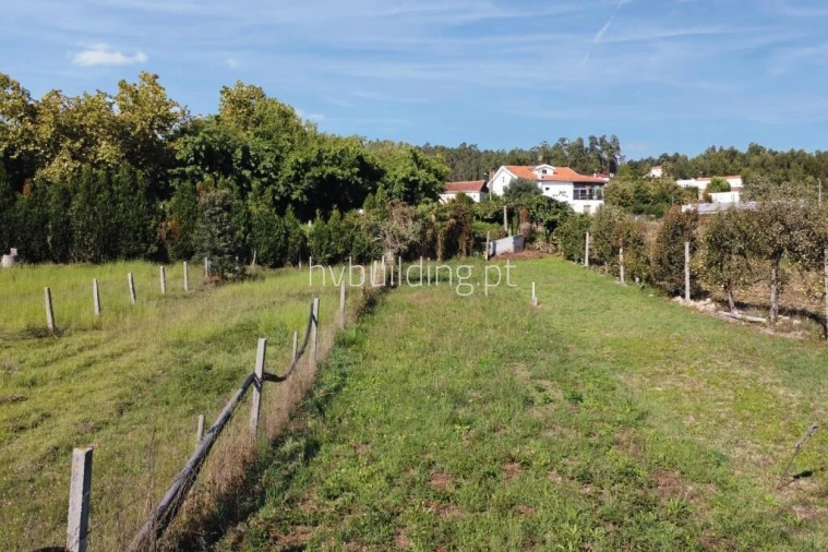 Terreno para Venda em Alheira e Igreja Nova